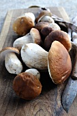 Fresh porcini mushrooms on a chopping board