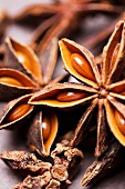 Star Anise Pods