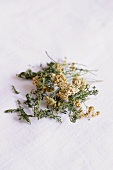 Dried yarrow