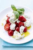 Tomato and mozzarella salad