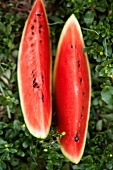 Two wedges of water melon in the grass