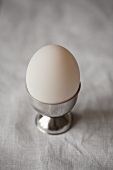 A white duck egg in a silver egg cup