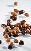 Chocolate covered almonds and hazelnuts