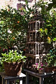 Vintage birdcage, wicker planter and plant pots on wooden stools in garden