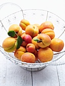 Fresh apricots in a wire basket
