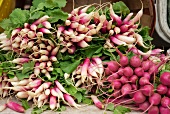 Fresh Bunches of Radishes at a Farmer's Market