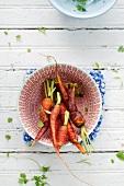 Various type of carrots in a bowl