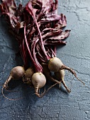 Beetroot