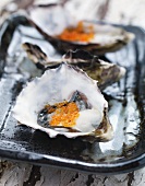Oysters with salmon caviar