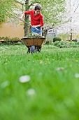 Mann arbeitet im Garten