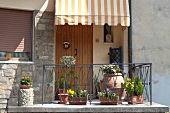 Pots of Flowers on a Porch