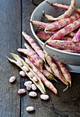 Opened and whole borlotti bean pods in a white sieve