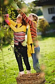 Zwei junge Frauen beim Apfelpflücken im herbstlichen Garten