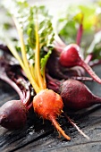 Fresh Red and Golden Beets