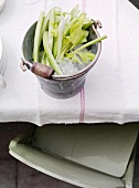 Celery stalks in a pail with ice cubes on a table (top view)