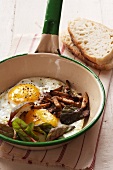 Fried eggs with Kalahari truffles and spinach in a pan