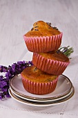 A stack of lavender muffins