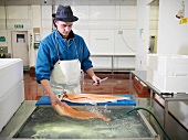 Arbeiter filetiert frischen Lachs beim Wasserbecken
