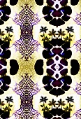 Kaleidoscopic pattern (print)