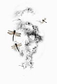 Libellen und Wolken (Illustration)