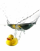 Rubber ducky falling into water