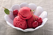 Kirschsorbet mit frischen Kirschen