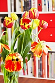 Tulpenstrauss vor einem Bücherregal