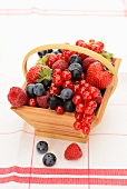 A basket of fresh berries