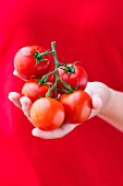 A young woman holding tomatoes