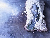 Mullet in a salt crust