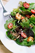 Gemischter Salat mit Datteltomaten und Croûtons