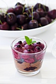 Cherry sorbet on chocolate mousse with mint