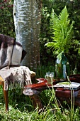 Fern on wooden table in garden