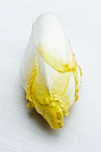 A head of chicory