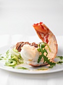 Half a lobster tail on a vegetable salad with a herb vinaigrette
