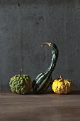 Three ornamental squashes in front of a grey wall