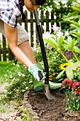 Digging over a flower bed