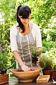Woman planting herbs in pot