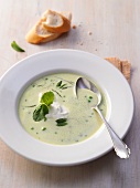 Cream of pea soup with herbs