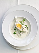 Asparagus soup with poached egg