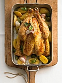 Bay leaf chicken with potatoes and olives