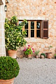 Topfpflanzen im Aussenbereich einer traditionellen Finca mit Natursteinfassade