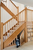 Dog leaving its cubbyhole under a wooden staircase - storage baskets on fitted shelving under landing