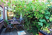 Wooden table and chairs on terrace surrounded by raspberries and ivy in residential complex with exposed brickwork; minimalist summer allotment atmosphere