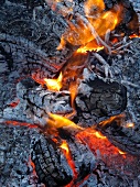 A blazing fire