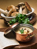 Potato and porcini mushroom soup