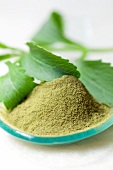 Stevia powder and stevia leaves