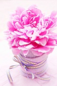 Peony in a container wrapped with felt and decorative ribbon