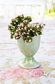 Outside -- oregano flowers in an egg cup on a rose patterned tablecloth