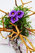 Flower arrangement made of dried mistletoe stems and dwarf petunia flowers